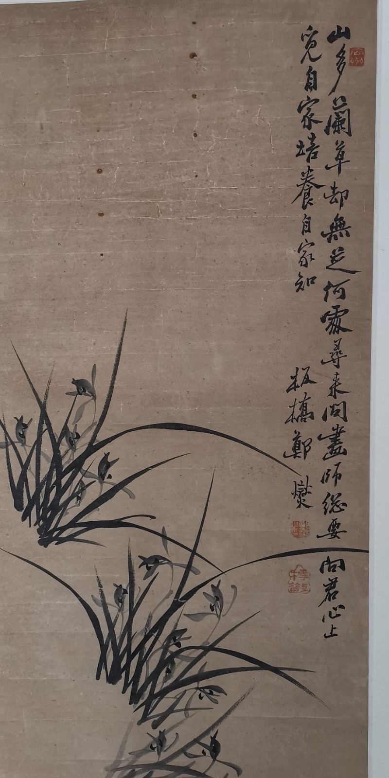 扬州八怪郑板桥兰花立轴